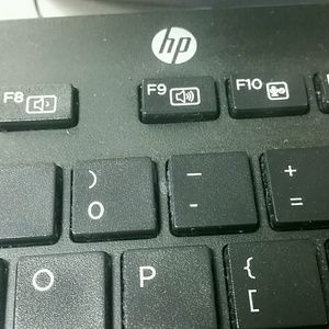 Meet your Posher, Penny